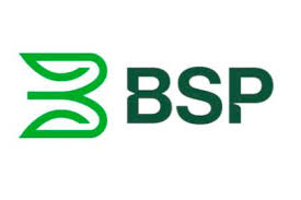 bsp-tonga-update-6lu.pages.dev favicon